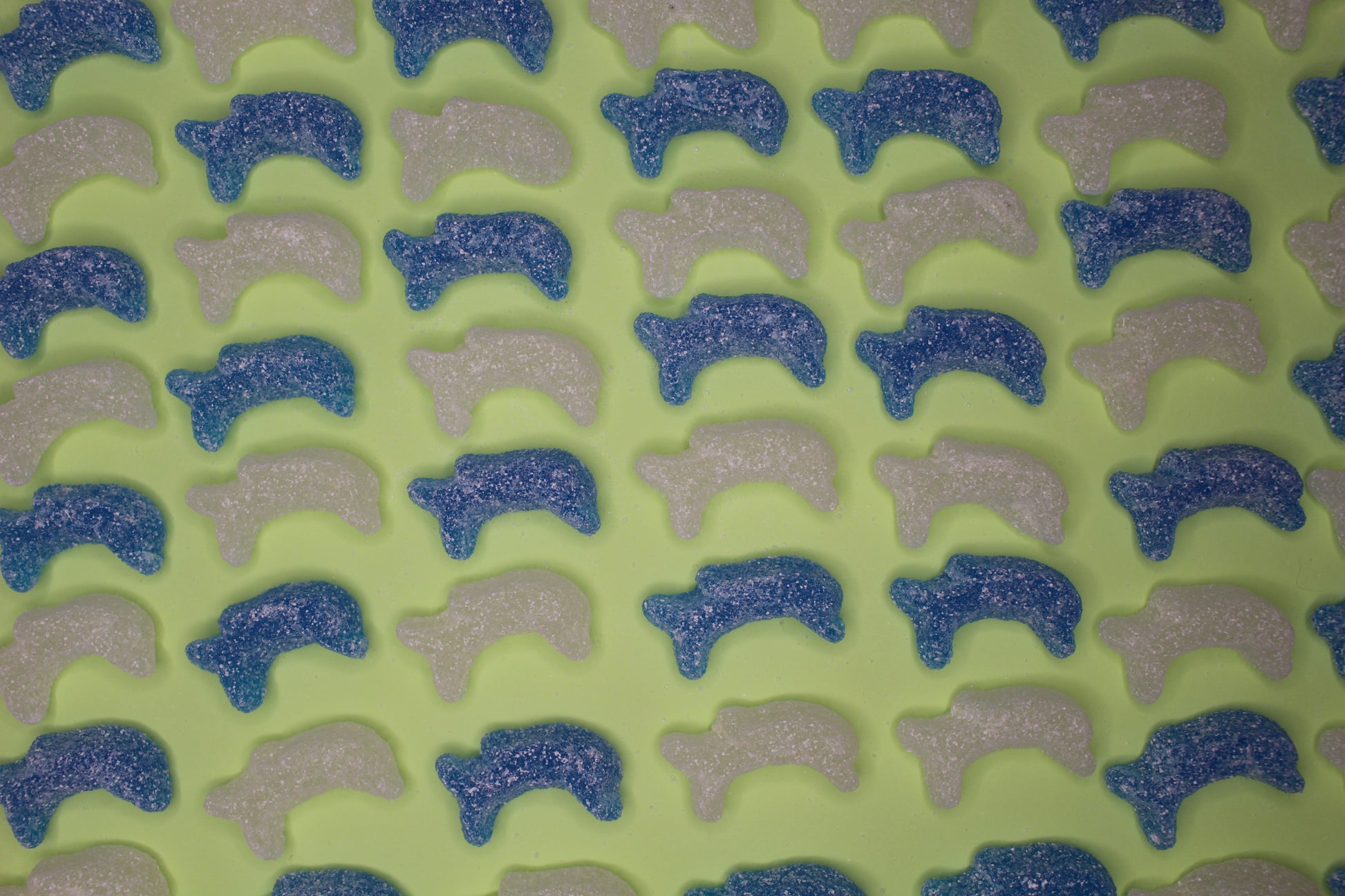 Fizzy Baby Dolphins